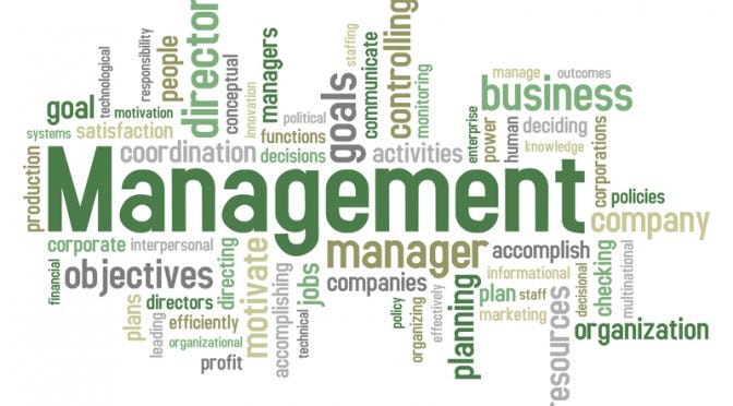 Why Management Studies Are Important in Today’s Business World